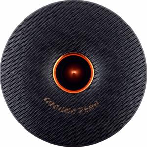  Решетка для динамиков Ground Zero GZCG 20CL