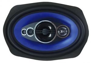 Автоакустика Celsior CS-6905P