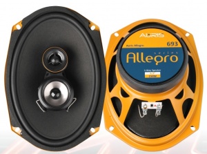 Автоакустика Auris Allegro 693