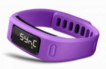 Garmin vivofit Purple