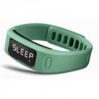 Garmin vivofit Teal