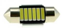 CYCLON T11-026(31) CAN 7020-6 12V MJ
