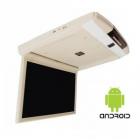 Baxster NT-156RA 15.6 Beige