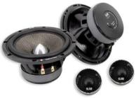 Blam 165 S100A