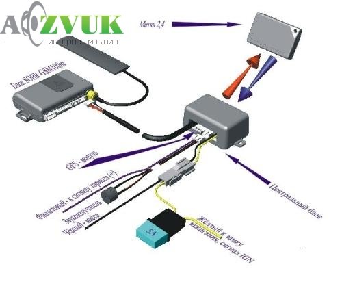 Иммобилайзер SOBR-IP 01