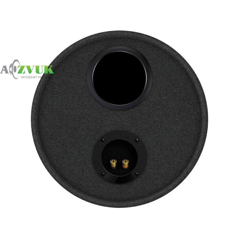 Автосабвуфер Pioneer TS-WX306T