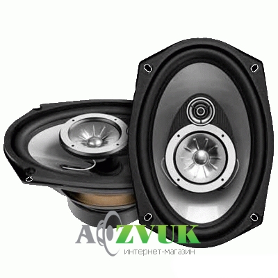 Автоакустика Power Acoustik FLORIDA FL-963