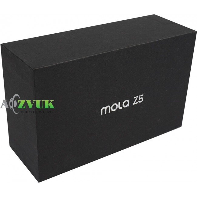 Видеорегистратор DDPai Mola Z5