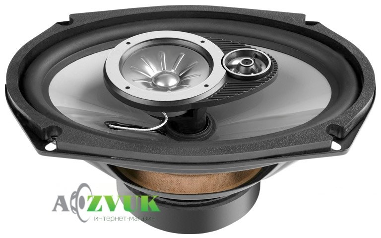 Автоакустика Power Acoustik FLORIDA FL-963