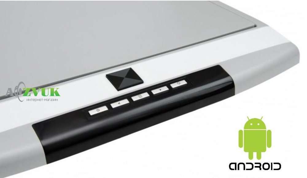 Потолочный монитор Baxster NT-173RA 17,3 Gray